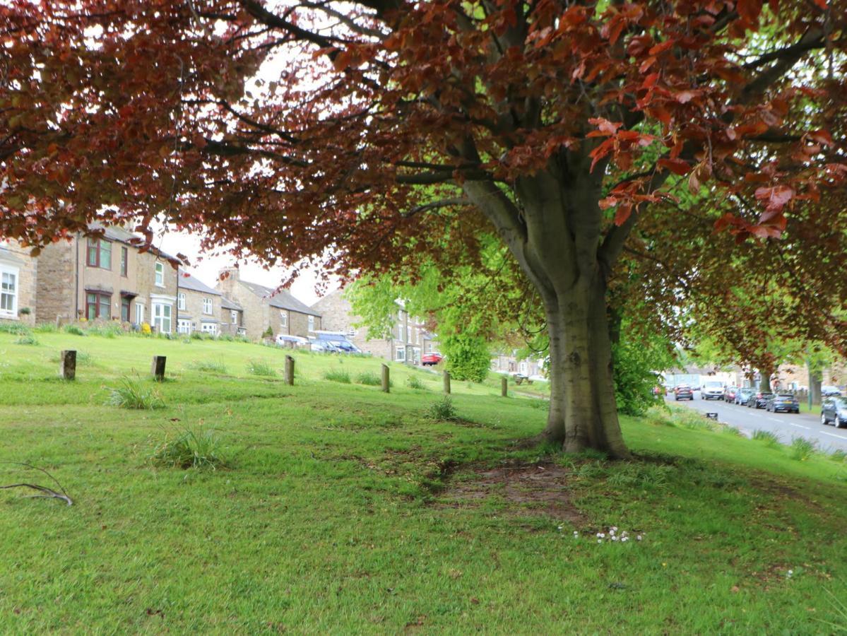 Langlands Villa Barnard Castle Eksteriør bilde